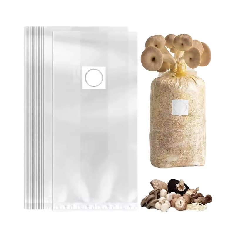 Mushroom Grow Bag (10)