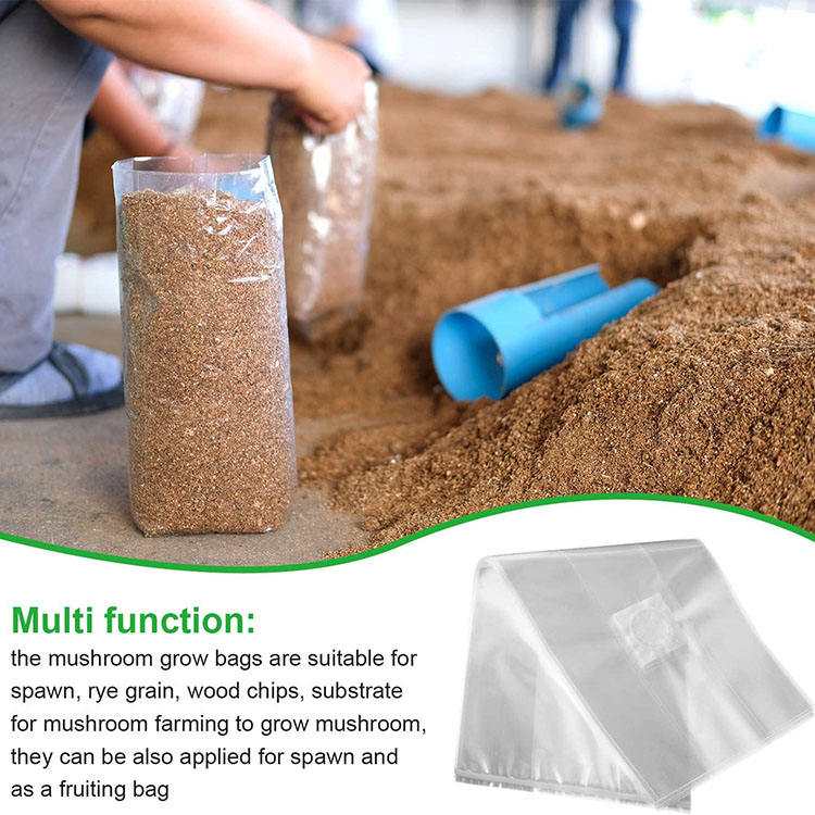 Mushroom Grow Bag (8)